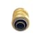 Apollo 3/4 in. Brass Push-to-Connect Polybutylene Conversion Coupling FSBPBC34 - alternate 4